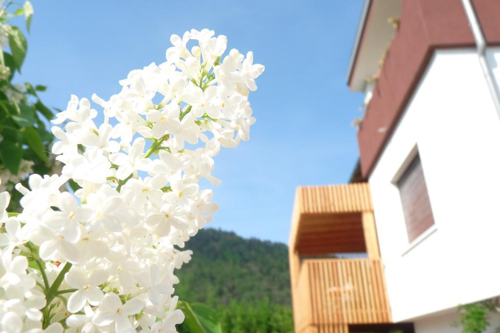 B&B Casa Sul Lago - Appartamenti Кальчераника-аль-Лаго Номер фото