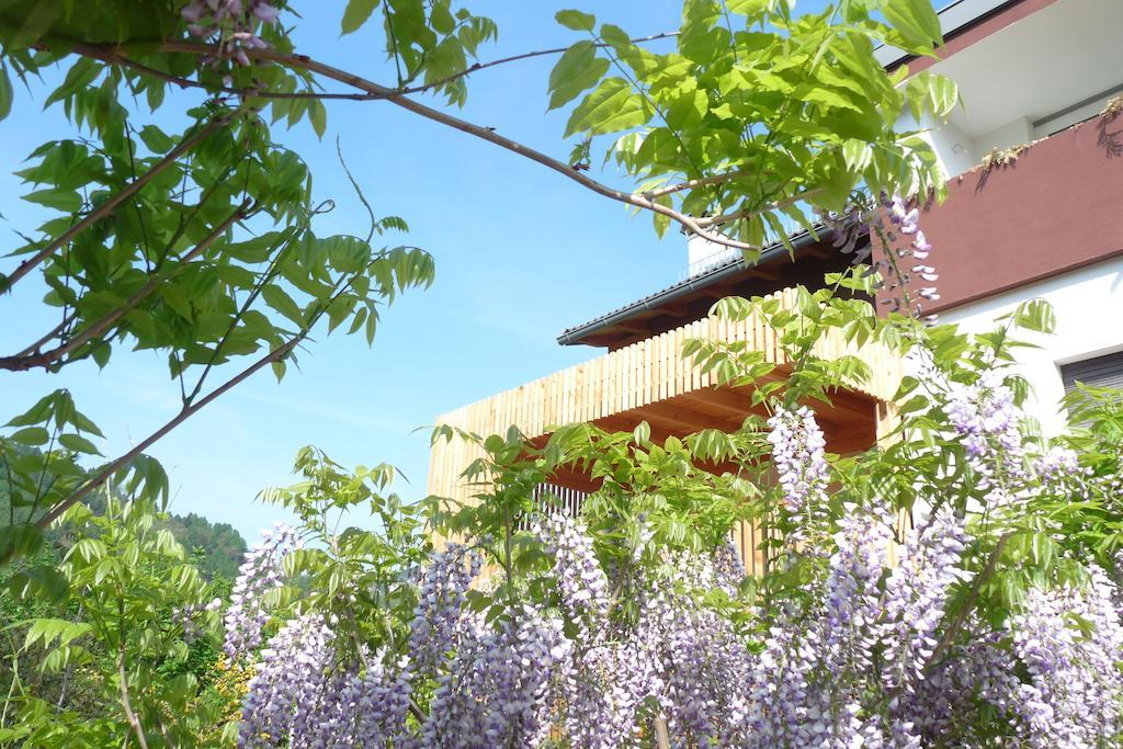 B&B Casa Sul Lago - Appartamenti Кальчераника-аль-Лаго Экстерьер фото