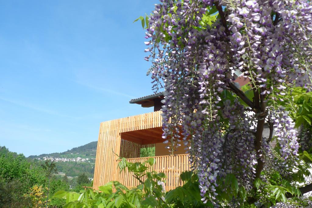 B&B Casa Sul Lago - Appartamenti Кальчераника-аль-Лаго Экстерьер фото